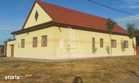 Casa individuala de vanzare, Iecea Mica, Judet Timis