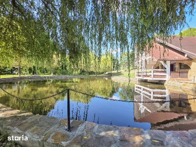Conac exclusivist | Slanic-Moldova | View Superb | Domeniu 17.000 mp