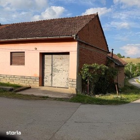 Casa cu gradina de vanzare