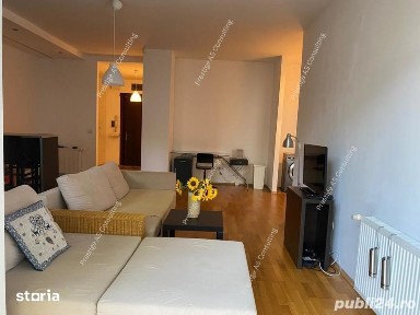 Splaiul Protopop Meletie Draghici, Badea Cartan, Timisoara, Timis