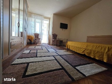 Apartament 1 camera-Elisabetin