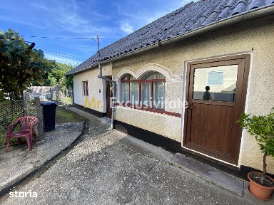 CASA + TEREN 1.002 MP | Stefanesti - Valea Mare Enculescu-Arges