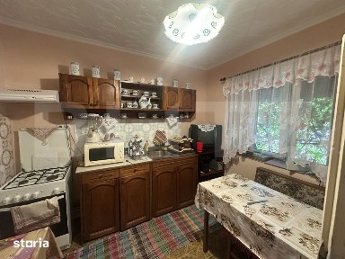 Casa 202 mp cu teren 1.178 mp, livada si garaj - Petin