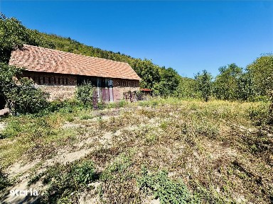 Constructie industriala cu teren 1254 mp de vanzare | Seica Mare |