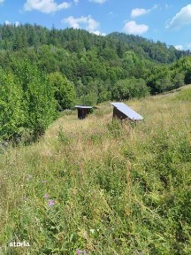 Vand Casa si Teren Sat Vadu Oii, Gura Teghii