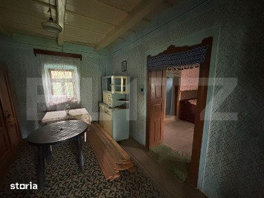 Casa de vanzare, cu 10 ari de gradina.