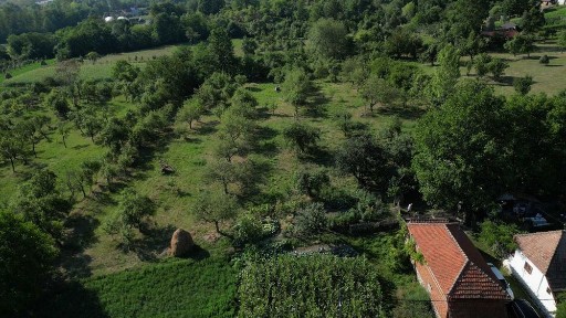 Casa batraneasca cu Anexe și Teren 6894 m2
