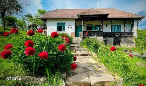 CASĂ TRADIȚIONALĂ + 5.032 MP TEREN INTRAVILAN | PUINI, CLUJ |