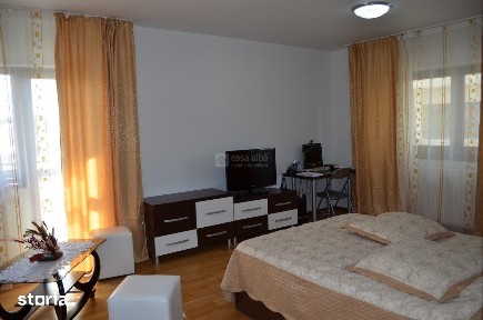 Podul de Fier - Iasicon, 1 camera mobilat si utilat, igienizat