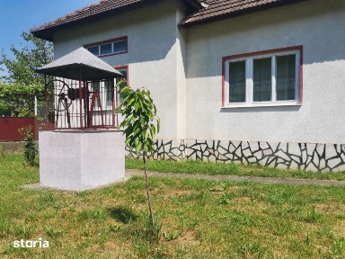 Doua case, garaj si 1.370 mp de teren, amplasata la DN, in Lesnic