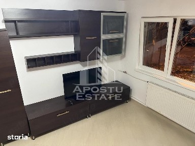Apartament 1 camera de inchiriat, Dambovita, Timis