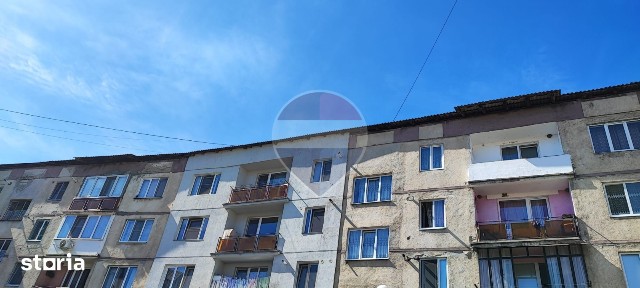 Apartament 2 camere de Închiriat! Se acceptă animale de companie!