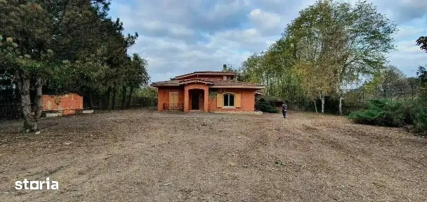 Vilă cu deschidere la Lacul Snagov și teren de 4.700 mp