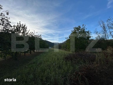 Casa de vanzare, 207 mp, 6000 mp teren, zona Coltesti