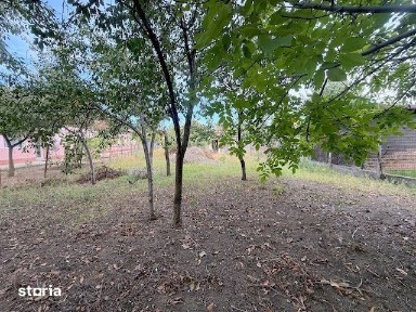 Casă individuală de vânzare, Mircea cel Bătrân, Timișoara