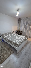 Garsoniera Etaj 1 zona Buziasului 260 euro