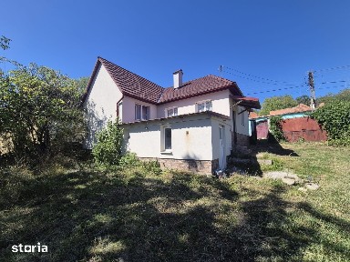 Casa renovata de vanzare in Spring - Vingard