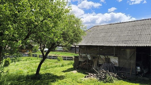 Casa de vanzare la tara, judetul Bacau, satul Bolovanis, plus anexa si sura. Suprafata teren 2000mp.