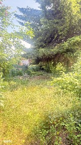 Casă Centrul Vechi Istoric Baia Mare - teren 385 mp!