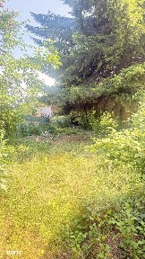 Casă Centrul Vechi Istoric Baia Mare - teren 385 mp!