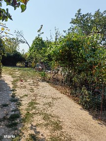 Carcea casa plus 4000mp teren intravilan,pret 98000 euro