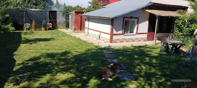 Casa langa bucuresti la sosea 1600mp 30km de piata unirii dotare inst. panouri solare