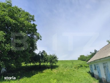 Casa 3 camere si 4800 mp la asfalt, toate utilitatile Horlesti