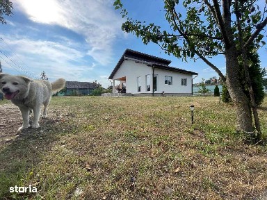 Ceuasu De Campie, Mures