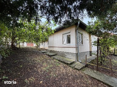 Sangeorgiu De Mures, Mures