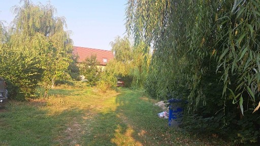 Paradis verde lângă București/Titu - Proprietate unică de 7.000 mp (2 loturi intravilane alăturate)