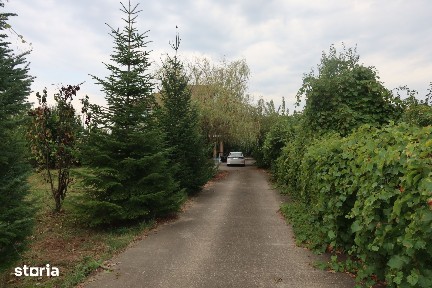 Casă de vânzare în Valea Călugărească - Aleea Cabernet, Teren 1.141 mp