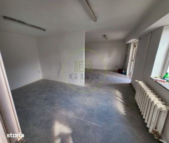 Inchiriere spatiu comercial cu terasa, Iris