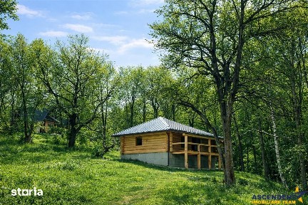 3.000mp de incantare montana cu cabana din lemn masiv, Zarnesti Tohani