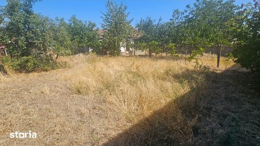 Sanleani, Livada, Arad