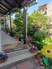 Casa de vanzare Ocna Mureș