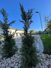 Casa noua la cheie 5 Camere 3 bai - 140 mp PROPRIETAR