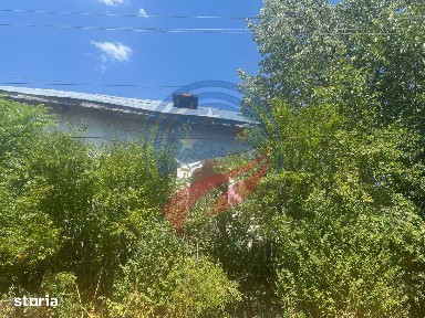 Teren/ casa demolabila Dutulesti