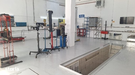 ROANDY - Service auto complet,afacere la cheie zona Malu Rosu