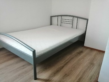 Timis, Timisoara