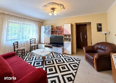 Strada Carpati, Cornisa, Bacau
