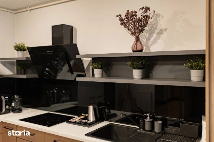 Apartament cu 2 camere I Mobilat si utilat I Scala Center