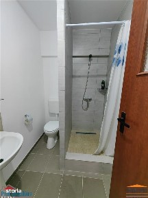 Aradul Nou, Arad