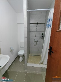 Aradul Nou, Arad