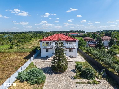 Domeniu privat 5.000 mp, cu reședință de 625 mp și piscină, Corbeanca