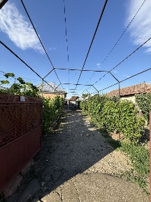 Olt, Olari