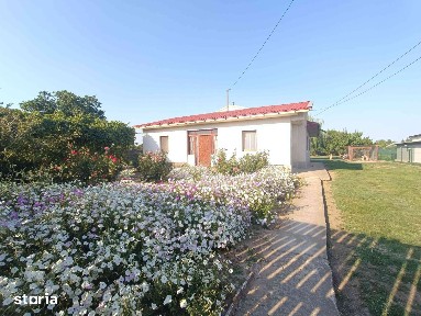 Casă cu teren de 2.771 mp, două parcele cadastrate, Slobozia Noua
