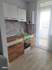 Apartament 2 camere mobilat-str Biruintei
