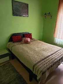 Vand casa la Tara