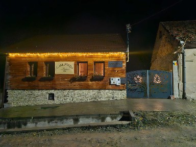 Casa de vânzare cu cabane,foisor si log glemping