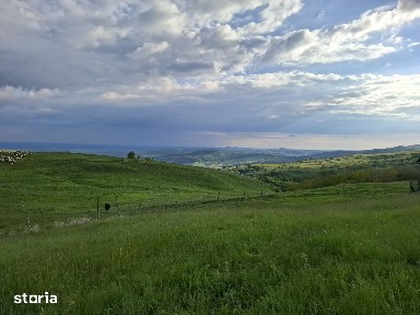 Casă Nouă Smart Panouri fotovoltaice și Livadă Marginea Pădurii Ph
